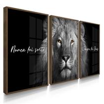 Quadros Decorativos Sala Leão Sempre Foi Deus Cinza Olhos Dourados Quadros Decorativos Sala Leão Sempre Foi Deus Cinza Olhos Dourados