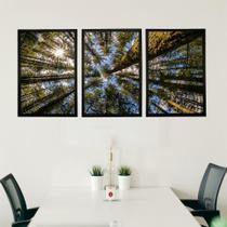 Quadros Decorativos Sala Moulton Paisagem Natureza Abstrato 43x63cm Com Moldura