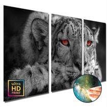 Quadros decorativos sala quarto Animal Leopardo N3