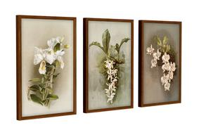 Quadros Decorativos Sala Quarto Floral Orquídeas Com Moldura - Tendecor