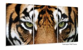 Quadros Decorativos Tigre 120x60 3 peças em Tecido Quadros Decorativos Tigre 120x60 3 peças em Tecido