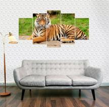 Quadros Decorativos Tigre"