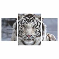 Quadros Decorativos Tigre Branco 140X80Cm