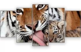 Quadros Decorativos Tigre Carinhoso Com Filhote"