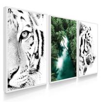 Quadros Decorativos Tigre Rio Verde Quadros Decorativos Tigre Rio Verde