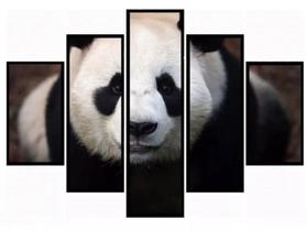 Quadros Decorativos Urso Panda" Quadros Decorativos Urso Panda"