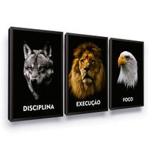 Quadros Disciplina Execução Foco Decoração Escritório