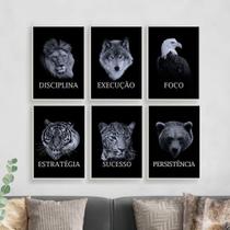 Quadros Leão Aguia Lobo Foco Motivação Kit 6 Peças 28x40cm