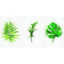 Quadros Minimalistas de Folhas Com Efeito De Pintura