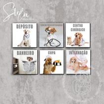 Quadros Para Clínica Veterinária Setores Portas Quadros Para Clínica Veterinária Setores Portas