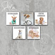 Quadros Para Clínica Veterinária Quadros Para Clínica Veterinária