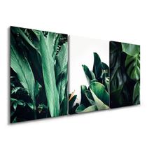 Quadros para Quarto Folhas Verdes Costela de Adão Decoração