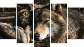 Quadros Para Sala Lobo Animal Decoração" Quadros Para Sala Lobo Animal Decoração"