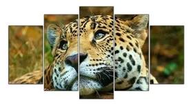 Quadros Para Sala Onça Pintada "