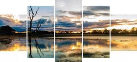 Quadros Para Sala Paissagem Pantanal"