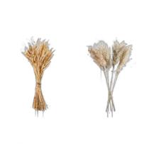 Quadros Trigo E Pampas Aquarela Moldura Branca 33X24Cm 2Un