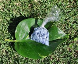 Quartzo Azul Pedra Rolada Saco com 100 gramas