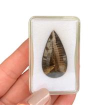 Quartzo Fumê Gota Millenium 33,57ct