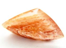 Quartzo Rosa Incrustado Lã Laranja Gema Lapidado Quartzo Rosa Incrustado Lã Laranja Gema Lapidado
