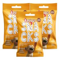 Quatree Snacks Bifinho Sabor Frango 60g Kit com três unidades