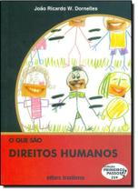 Que São Direitos Humanos, O - Vol.229 - Coleção Primeiros Passos Que São Direitos Humanos, O - Vol.229 - Coleção Primeiros Passos