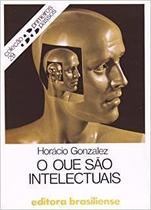 Que sao intelectuais, o