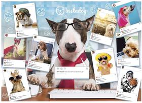 Quebra cabeça 1000 peças - instadog - grow Quebra cabeça 1000 peças - instadog - grow