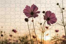 Quebra-Cabeça 24 Peças Atividades Para Idosos Peças Grandes