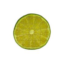 Quebra-Cabeça 24 Peças Limão Para Idosos Com Peças Grandes