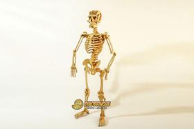 Quebra-Cabeça 3D ESQUELETO HUMANO 109 peças em MDF - DINOBRINQUE
