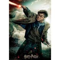 Quebra Cabeça 3D Harry Potter 300 Peças- Multikids Br1323