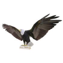 Quebra Cabeça 3D Pássaro Águia de Cabeça Branca Colagem Papercraft Miniatura Maquete HAS Brasil Quebra Cabeça 3D Pássaro Águia de Cabeça Branca Colagem Papercraft Miniatura Maquete HAS Brasil