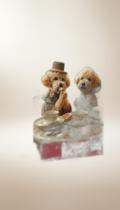 Quebra-Cabeça 500 Nano Peças Cães Elegantes França Quebra-Cabeça 500 Nano Peças Cães Elegantes França