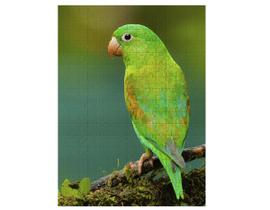 Quebra-Cabeça Ararinha Verde 300 Peças