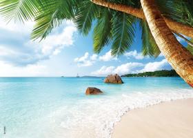 Quebra-cabeça BEDUKE 1000 peças Coastal Beach para adultos Quebra-cabeça BEDUKE 1000 peças Coastal Beach para adultos