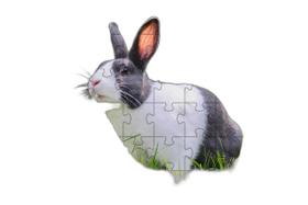 Quebra-Cabeça Belo Coelho 60 Peças Educativo E Inteligente