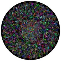 Quebra-cabeça Bgraamiens The Indian Feather 1000 peças