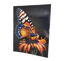 Quebra-cabeça Borboleta 300 peças MDF Quebra-cabeça Borboleta 300 peças MDF