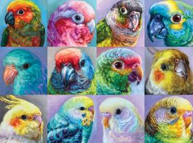 Quebra-Cabeça Buffalo Games Parrot Perfection - 1000 Peças Quebra-Cabeça Buffalo Games Parrot Perfection - 1000 Peças