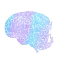 Quebra Cabeça Cérebro Anatômico Holográfico Muda De Cor