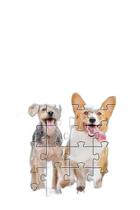 Quebra-Cabeça Cognitivo Reabilitação Idosos 60 Peças