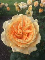 Quebra-Cabeça Cognitivo Reabilitação para Idosos - Rosas