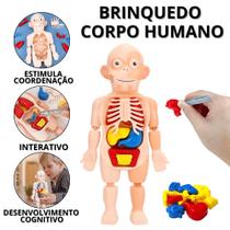 Quebra Cabeça Corpo Humano Boneco De Anatomia Humana Brinquedo Anatômico Interativo Educativo