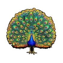 Quebra-Cabeça De Madeira Para Adultos E Crianças, Urso Comedor De Peixes, Pavão, Brinquedos