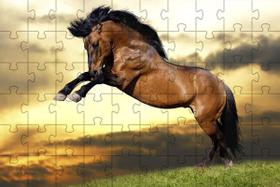 Quebra-Cabeça Educativo 500 Peças Lindos Cavalos Que