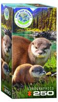 Quebra-Cabeça EuroGraphics Otters - 250 Peças (13x19cm)