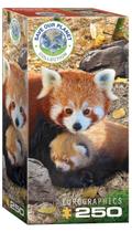 Quebra-cabeça EuroGraphics Red Pandas 250 peças c/ 13x19 cm Quebra-cabeça EuroGraphics Red Pandas 250 peças c/ 13x19 cm