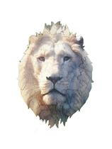 Quebra-cabeça Exclusivo Leão Branco de 70 peças em mdf