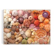 Quebra-cabeça Galison Vibrant Seashells Christine Chitnis 1000 peças