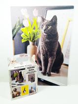 Quebra Cabeça Gatos Cinza de 300 peças MDL03 + Chaveiro